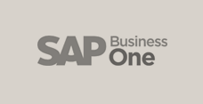 SAP Business One