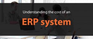 Understanding ERP System cost