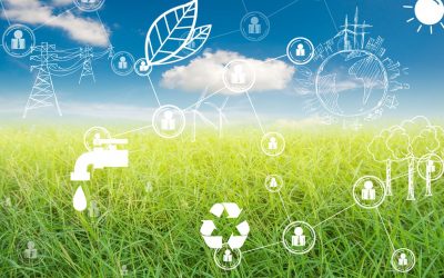 5 sustainability trends changing the future of wholesale distribution