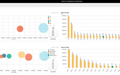 Phocas Business Intelligence –Data Analytics and Reporting for SAP Business One