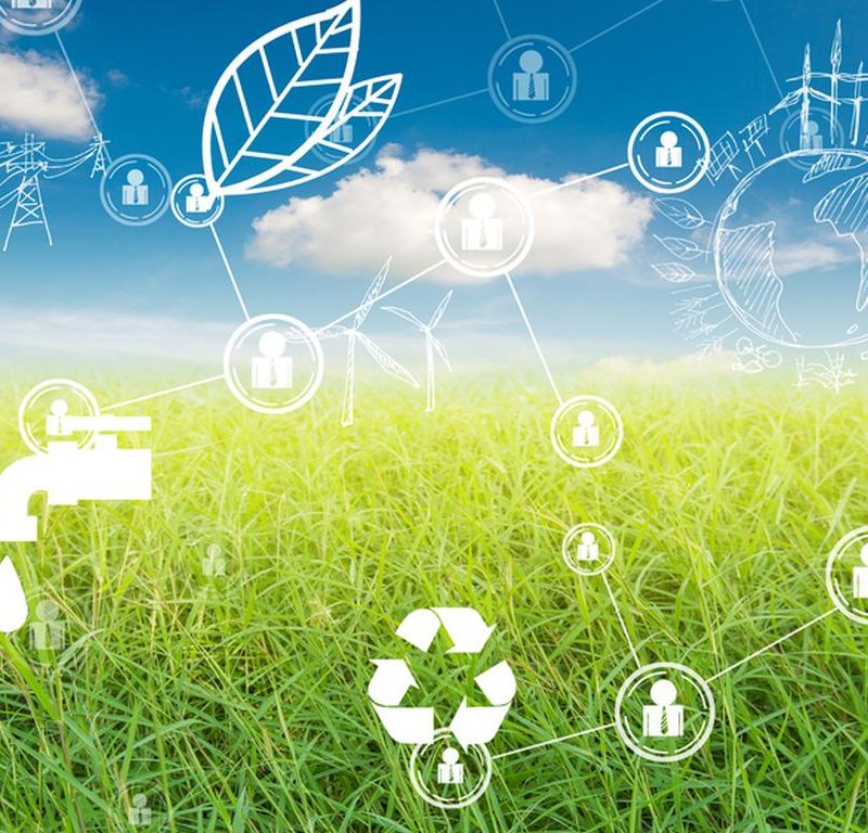 5 sustainability trends changing the future of wholesale distribution