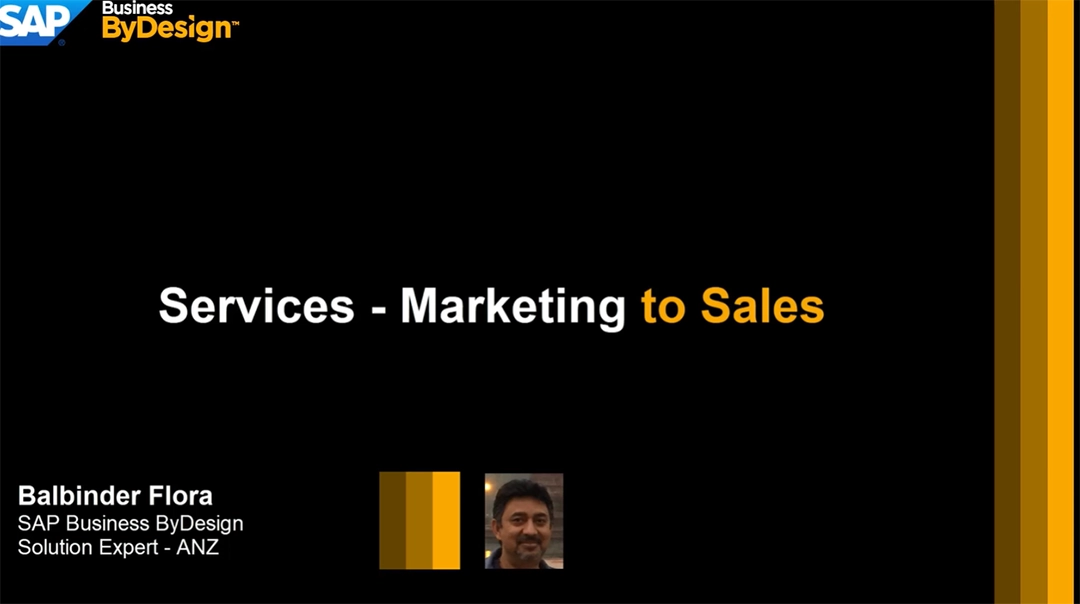 Professional Services-Marketing and Sales