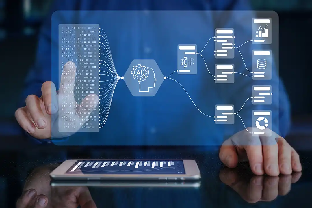Evolving Role of the CFO